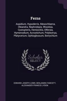 Paperback Ferns: Aspidium, Hypoderris, Mesochlaena, Oleandra, Nephrolepis, Woodsia, Cystopteris, Hemionitis, Olfersia, Hymenodium, Acro Book