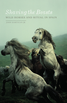 Paperback Shaving the Beasts: Wild Horses and Ritual in Spain Book