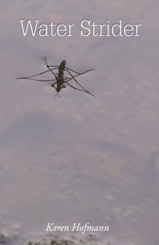 Paperback Water Strider Book