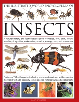 Hardcover The Illustrated World Encyclopedia of Insects: A Natural History and Identification Guide to Beetles, Flies, Bees, Wasps, Springtails, Mayflies, Stone Book