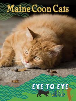 Hardcover Maine Coon Cats (Eye to Eye With Cats) Book