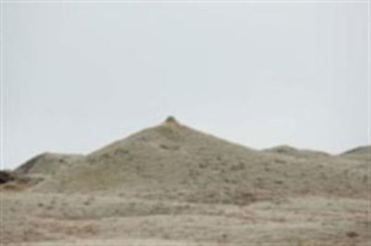 Roni Horn: Artist's Portfolio