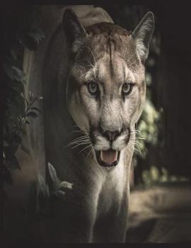 Cornell Notes Notebook 150 Pages 8. 5 X11 Cornell Notebook : Cornell Note Taking System Big Cat Puma Cover Design