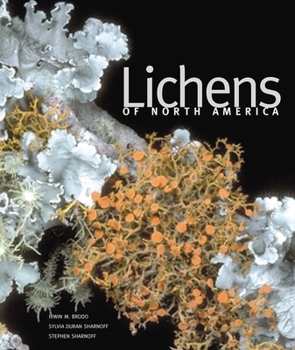 Hardcover Lichens of North America Book