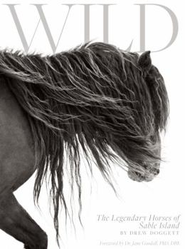 Hardcover Wild: The Legendary Horses of Sable Island Book
