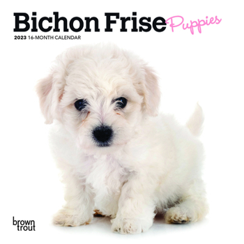 Calendar Bichon Frise Puppies 2023 Mini 7x7 Book