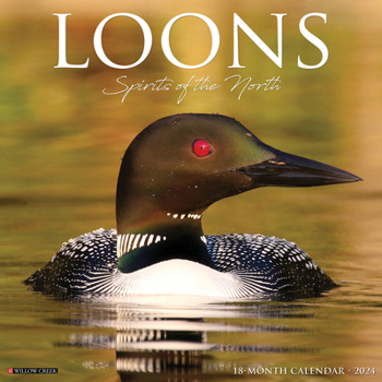Calendar Loons 2024 12 X 12 Wall Calendar Book