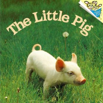 Paperback The Little Pig Book