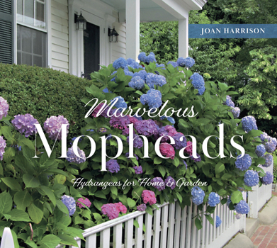 Hardcover Marvelous Mopheads: Hydrangeas for Home & Garden Book