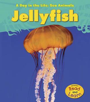 Jellyfish - Book  of the A Day In The Life
