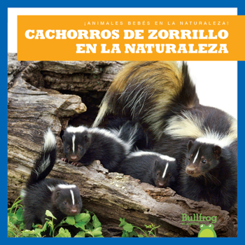 Library Binding Cachorros de Zorrillo En La Naturaleza (Skunk Kits in the Wild) [Spanish] Book