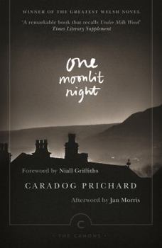 Paperback One Moonlit Night Book