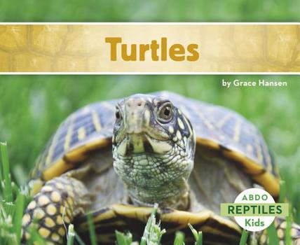 Turtles - Book  of the Reptiles