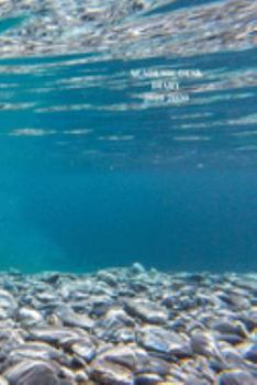 Academic Diary Week To View A5 Organiser Planner: Starts 1 August 2019 Until 31 July 2020. Ocean Diary, Paperback With Soft Water Repelling Matte Front Cover. High Quality.