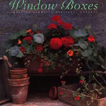 Hardcover Window Boxes Book
