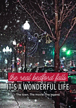 DVD The Real Bedford Falls: It's A Wonderful Life Book