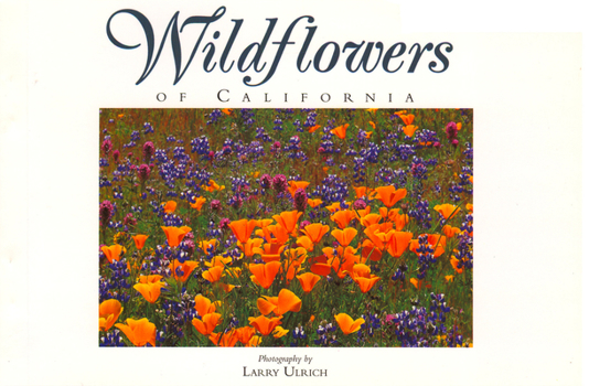 Paperback Wildflowers of California: Twenty Postcards Book