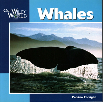 Paperback Whales Book