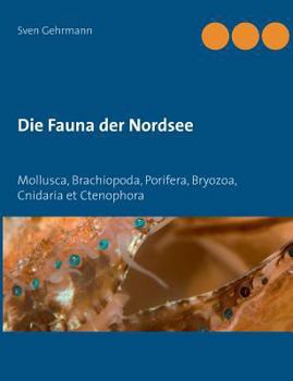 Paperback Die Fauna der Nordsee: Mollusca, Brachiopoda, Porifera, Bryozoa, Cnidaria et Ctenophora [German] Book