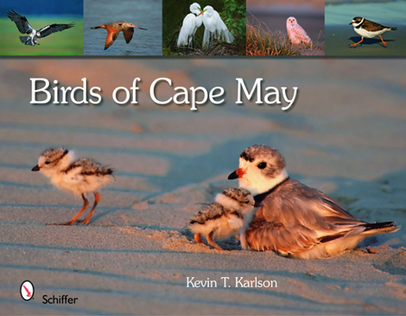 Hardcover Birds of Cape May Book