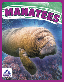 Paperback Manatees Book
