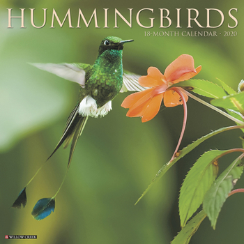 Calendar Hummingbirds 2020 Wall Calendar Book