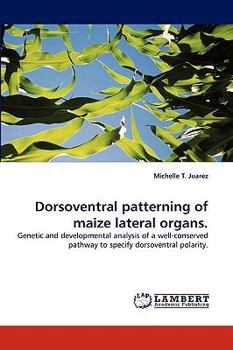 Paperback Dorsoventral patterning of maize lateral organs. Book