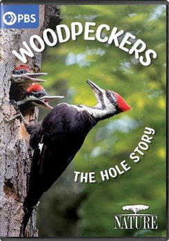 DVD Nature: Woodpeckers The Hole Story Book