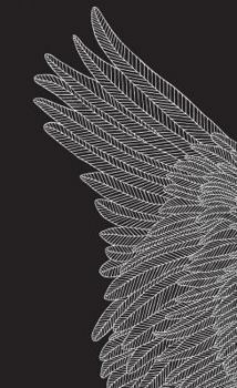 NOT A BOOK: Brave Birds Journal (Hardcover)