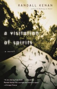 Paperback A Visitation of Spirits Book