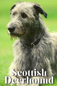 Paperback Scottish Deerhound: Dog breed overview and guide Book