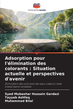 Paperback Adsorption pour l'élimination des colorants: Situation actuelle et perspectives d'avenir [French] Book