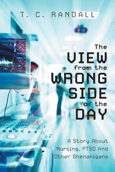 Paperback The View From The Wrong Side Of The Day: A Story About Nursing, PTSD And Other Shenanigans Book