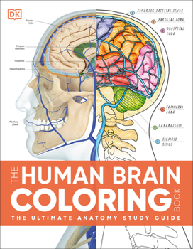 Misc. The Human Brain Coloring Book: The Ultimate Anatomy Study Guide Book