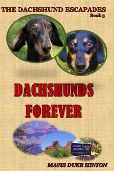 Paperback Dachshunds Forever Book