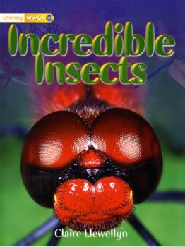 Paperback Literacy World Non-fiction Stage 1: Incredible Insects Book