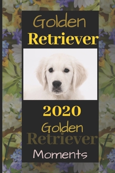 Golden Retriever: 2020  Golden Retriever Moments