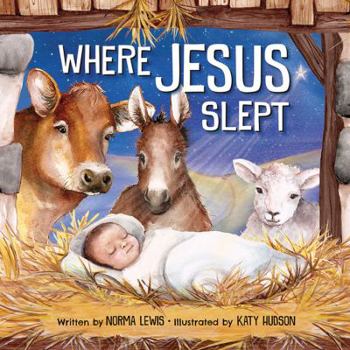 Hardcover Where Jesus Slept Book