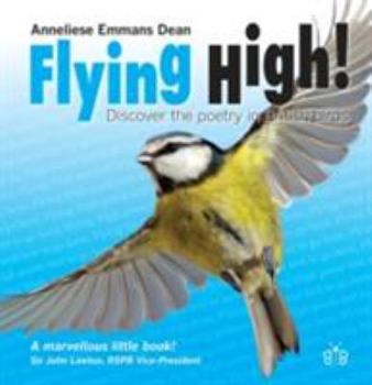 Paperback Flying High Book