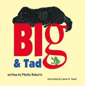 Paperback Big & Tad Book