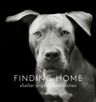 Hardcover Finding Home: Shelter Dogs and Their Stories Book