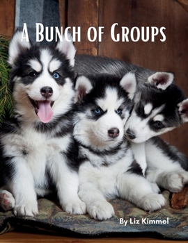 Paperback A Bunch of Groups Book