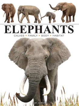 Paperback Elephants Book