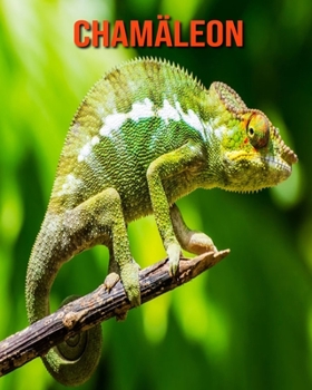 Paperback Cham?leon: Erstaunliche Fakten & Bilder [German] Book
