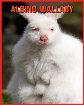 Albino-Wallaby: Faszinierende Albino-Wallaby Fakten f?r Kinder mit atemberaubenden Bildern!