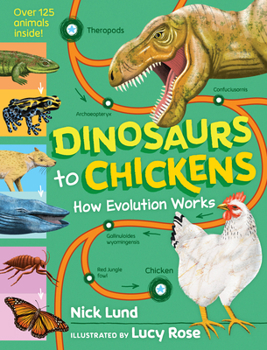 Hardcover Dinosaurs to Chickens: How Evolution Works Book