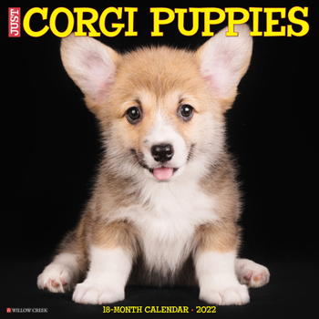 Calendar Just Corgi Puppies 2022 Wall Calendar (Dog Breed) Book