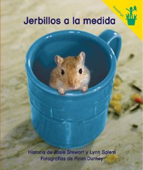 Jerbillos A la Medida
