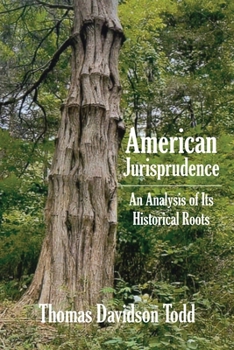 Paperback American Jurisprudence: An Analysis of Its Historical Roots Book