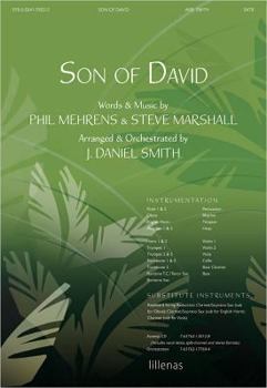Paperback Son of David Book